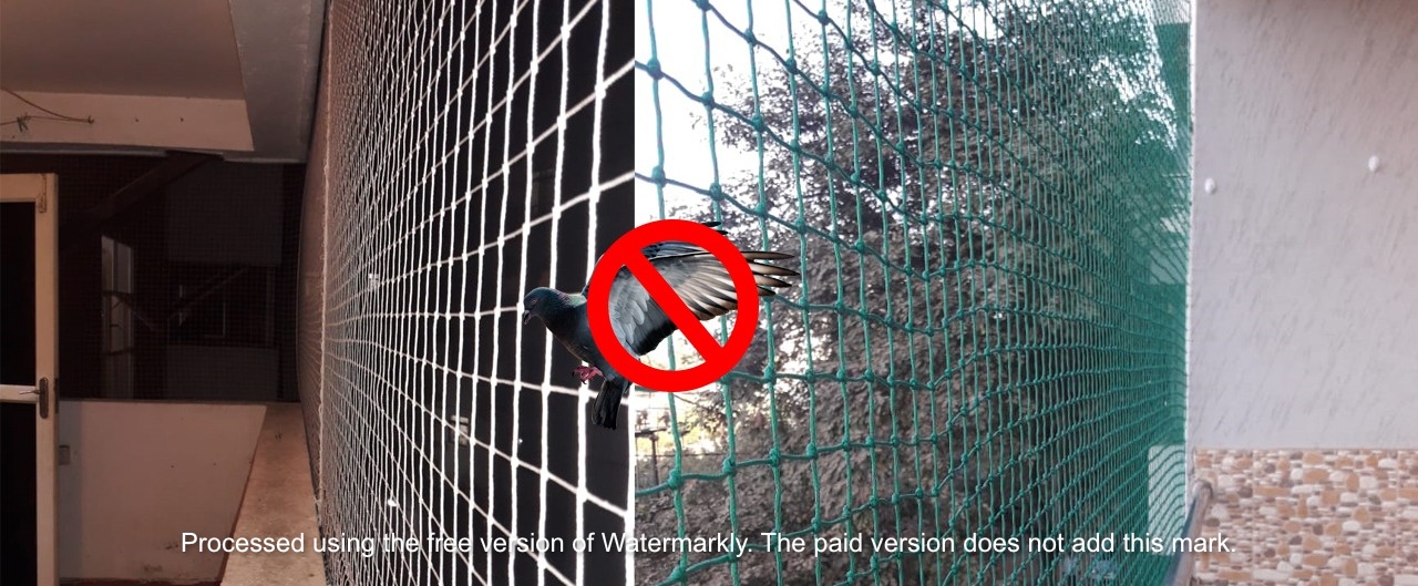 pigeon nets in mangalore