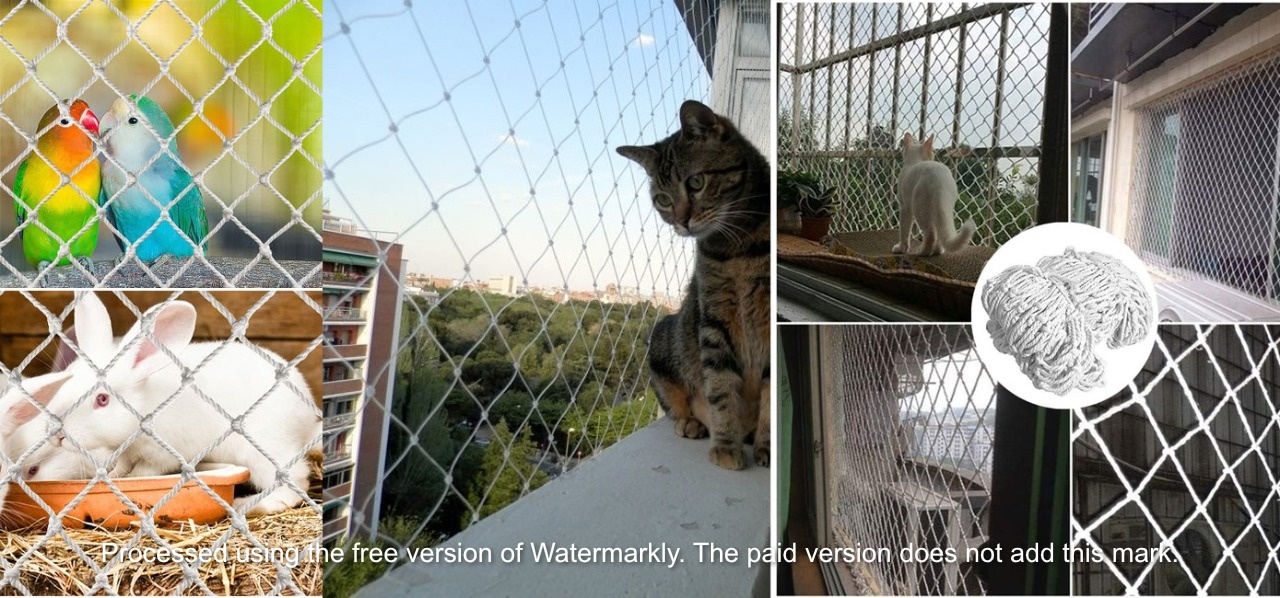 pets safety nets in mangalore